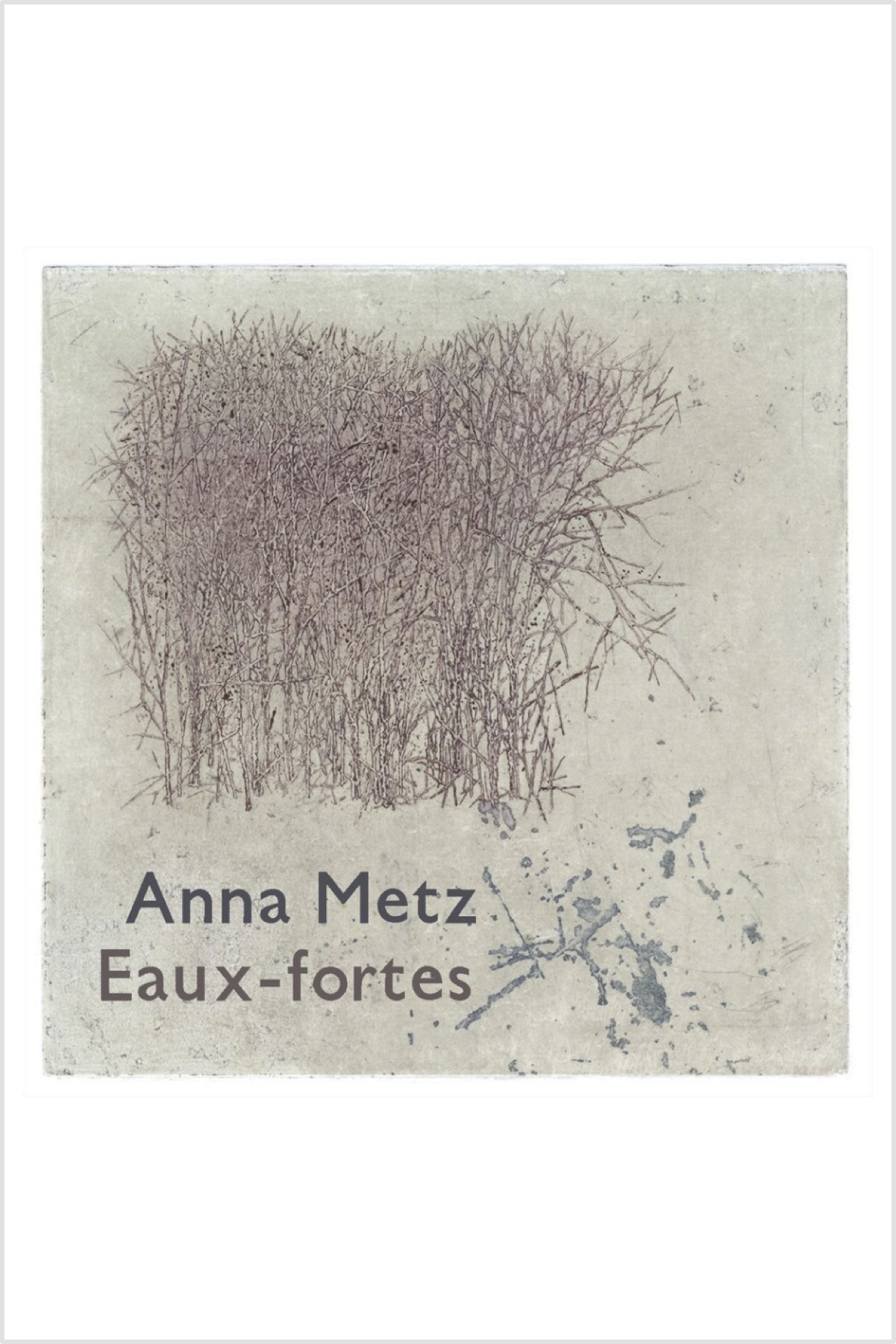 Anna Metz